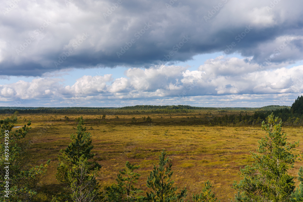 Swamp landscape view on a cloudy day in Finland