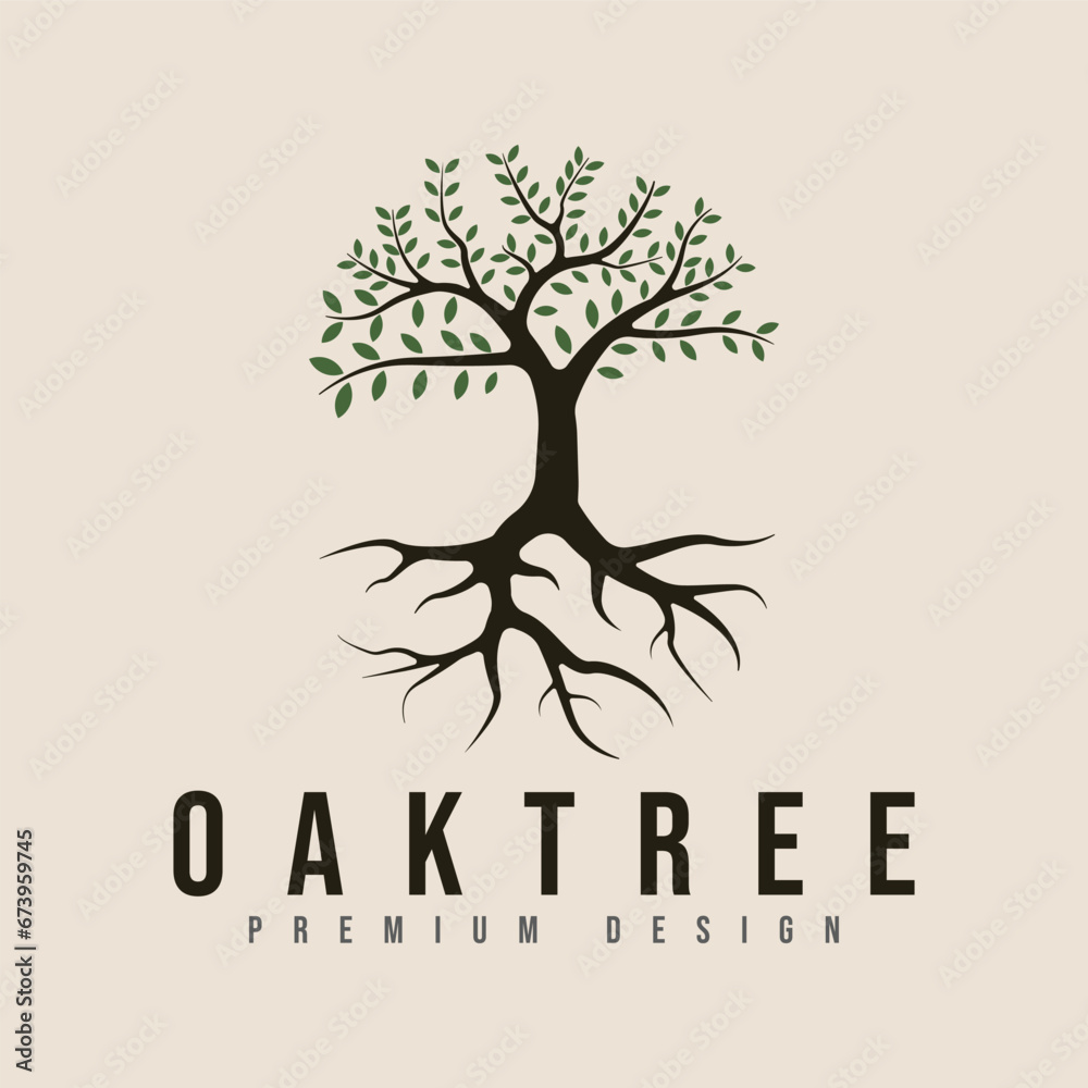 Fototapeta premium vintage oak tree logo vector minimalist illustration design .pine tree or palm tree nature line art logo design.