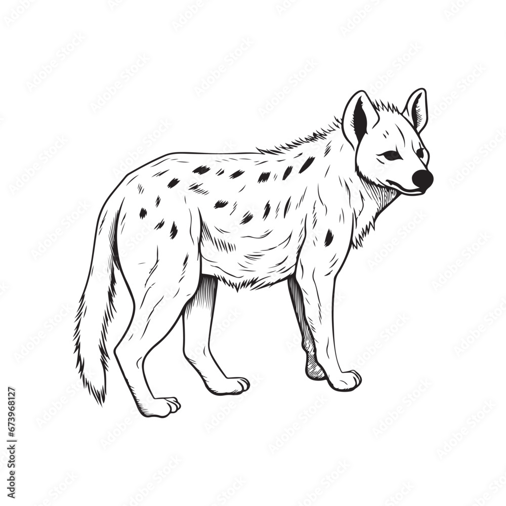 Hyena Vector image, Icons, and Graphics 