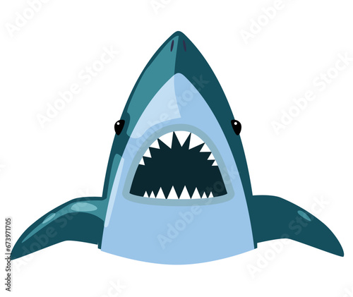 Illustration of a Shark Head