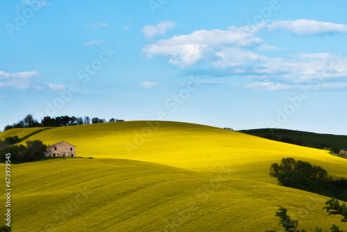 Colline marchigiane  photo