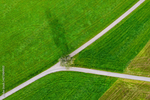 Obraz na płótnie Abstract aerial view of fork road in a field and tree w salonie