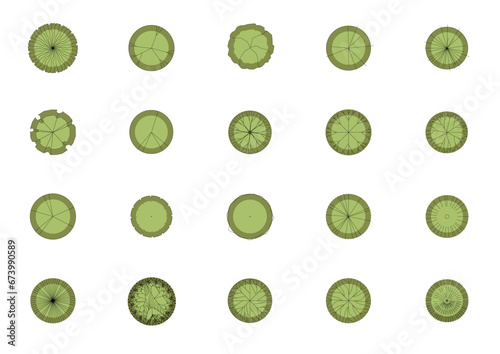 tree top view plant landscape architecture nature garden aerial vector. trees branch isolate collection illustration environment green botany urban bush park. tree architecture conifer decorative.