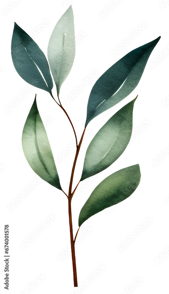 Naklejka premium Botanical watercolor green leaves. Elegant branch with foliage for greeting cards and invitations