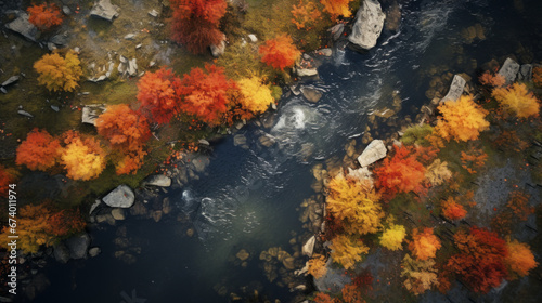 Aerial view of autumn