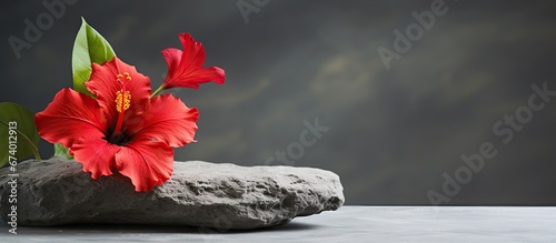 A background of grey hosts a reddish hibiscus resting on a stone in a spa setting photo