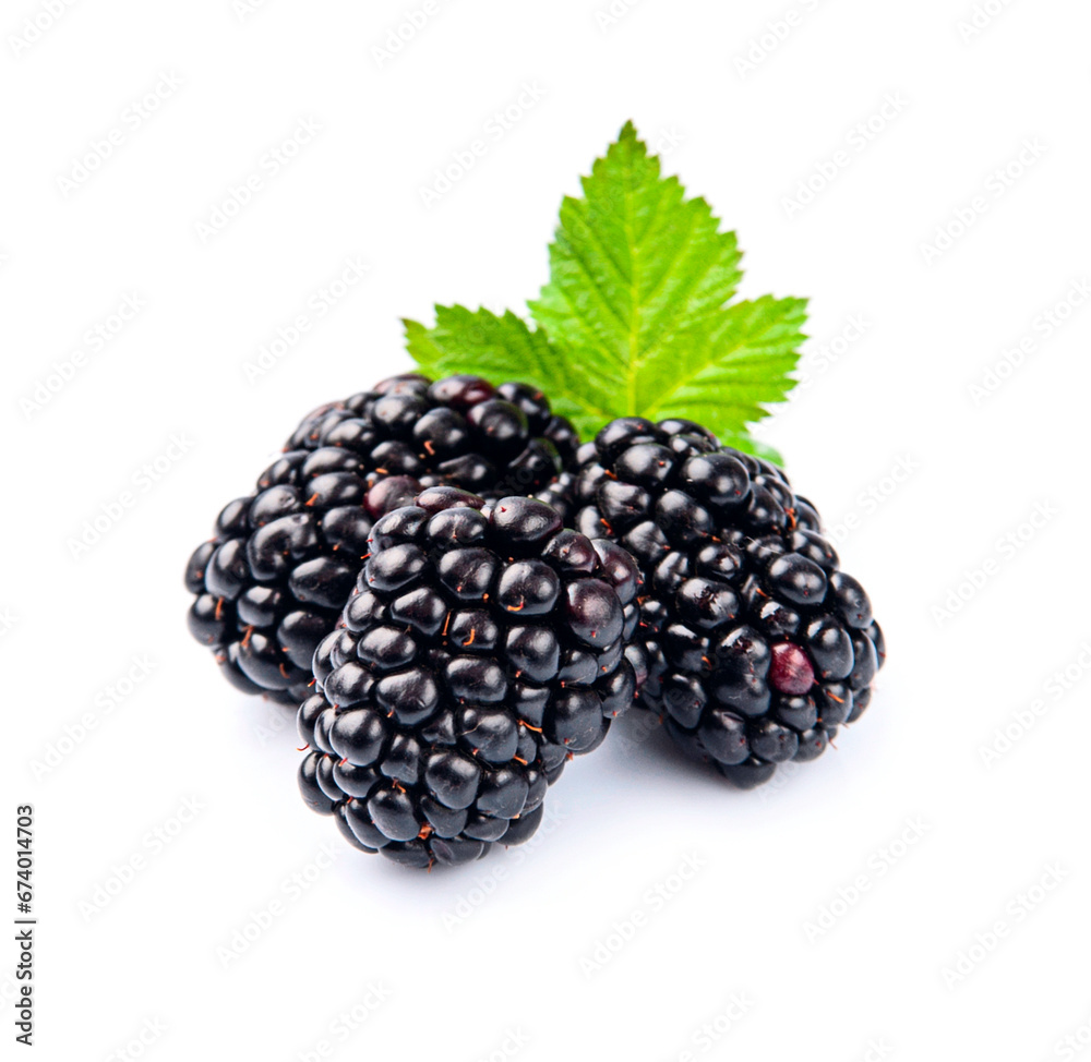 Sweet blackberry with leaves Sweet blackberry with leaves