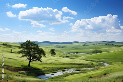 Peaceful nature landscape