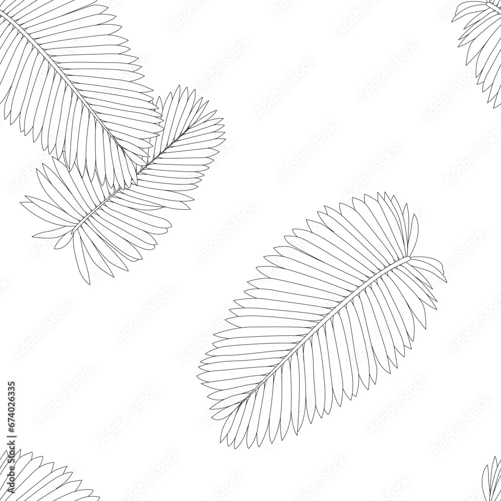 Palm leaves pattern line art for decorate your designs with tropical illustration isolated on white background