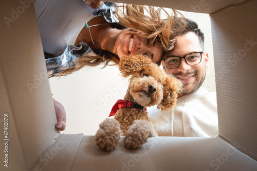 Smiling content young adult couple looking into the box together with adorable brown poodle dog. photo