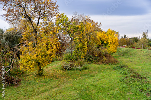 Orange fall trees on sky background .Autumn trees and leaves. Autumn natural landscape.