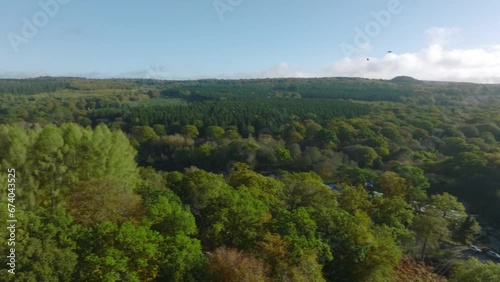 High wide shot of autumnal forest from above