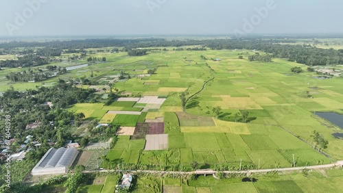 Agricultural field aerial shot. Field with different crops, top view. Agricultural industry. 4k photo