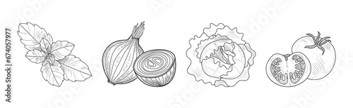 Sketch Garden Vegetable and Fresh Agricultural Crop Vector Set