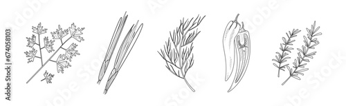 Sketch Garden Vegetable and Fresh Agricultural Crop Vector Set