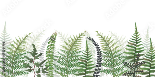 Fern horizontal banner. Vector illustration, border of fern on a white background, cartoon decorative seamless strip for summer and autumn season, design for cosmetics, homedesign, ecology