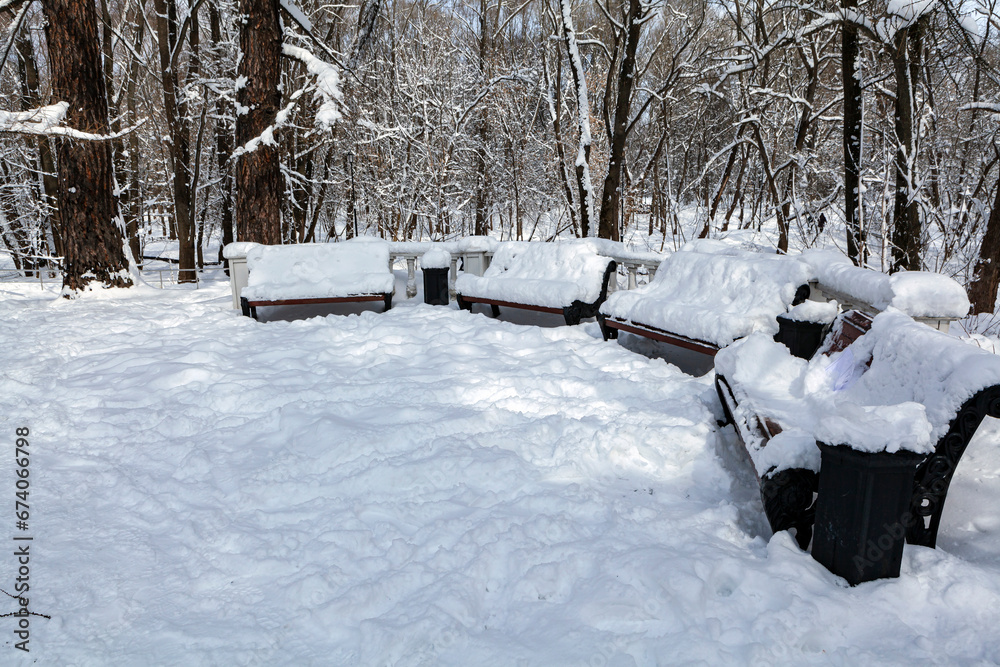 The first snowfall in the city park. White fluffy snow covered the ground and benches in the park.