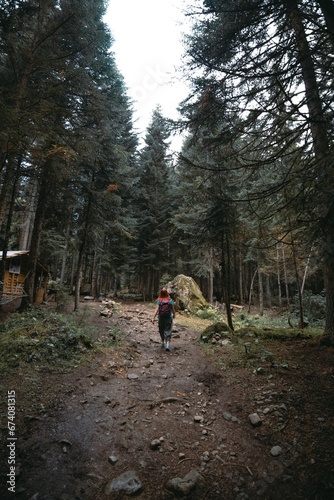 A woman with a backpack, a hiker, walks along a stony path in the middle of a dense forest. travel concept. Trail to Shdugra Waterfall. Caucasus Mountain Georgia, Svaneti Region. Vertical photo © Sergey