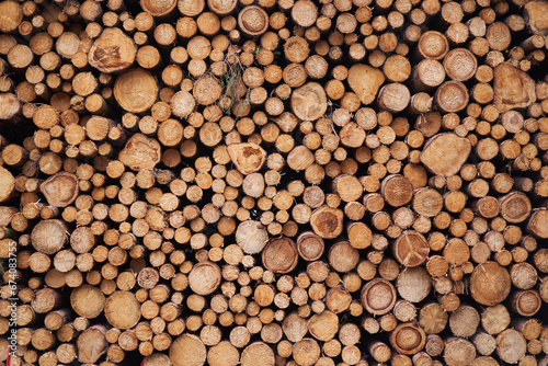Abstract background picture made from spruce trees logs stacked on each other in pile in the lumbermill storage area. Example of the natural sustainability and renewable biomass resources or energy.