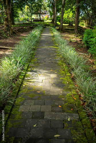Serene Garden Pathway in Lush Greenery. A tranquil stone walkway meanders through a vibrant garden, inviting a peaceful stroll among nature
