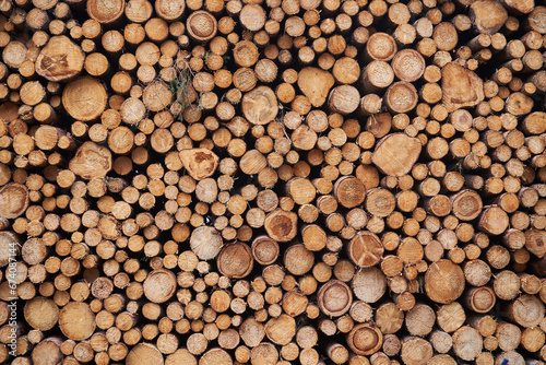 Abstract background picture made from freshly harwested spruce tree wood logs stacked on each other in large pile. Example of sustainable natural and renewable biomass   material or energy resource.