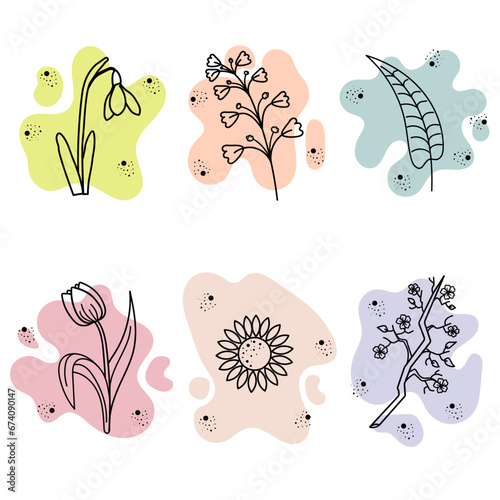 set of elements for design. set of linear illustrations of flowers. Snowdrop, tulip, sunflower, sakura