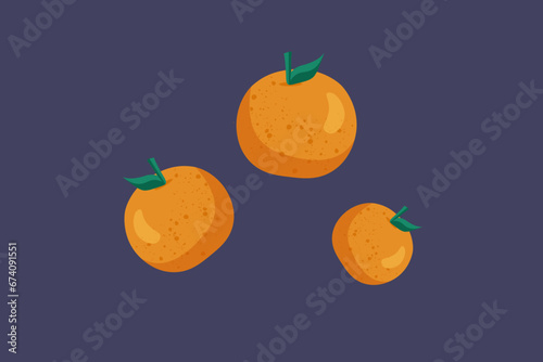 Flat vector hand drawn colorful citrus fruit illustration mandarin orange