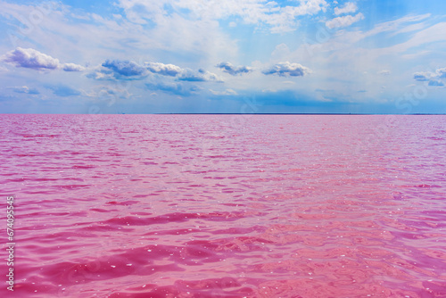 View on pink lake with Dunaliella Salina algae. Lemurian lake at south of the Ukraine photo