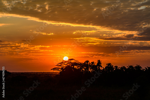 Landscape at the Serengeti national park at sunset  Tanzania