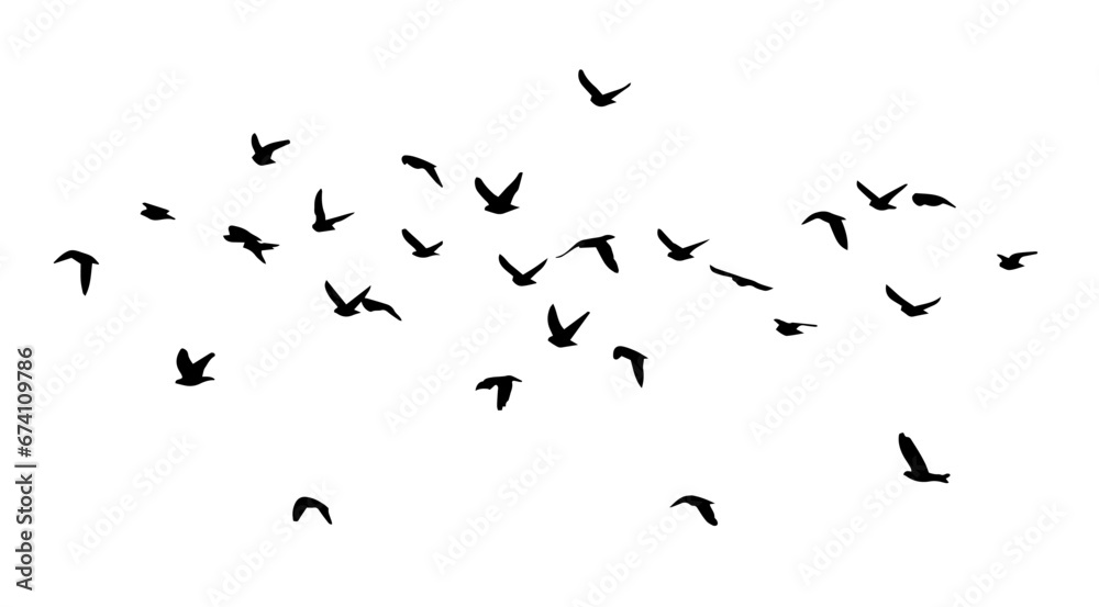 Flying birds silhouette flock. hand drawing. Not AI, Illustrat3. Vector illustration