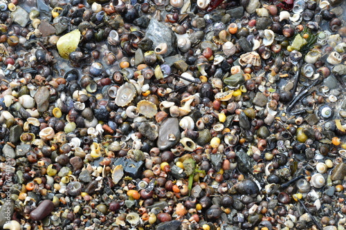 Shell beach, sheepshead peninsula