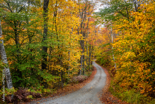 Winding road through a forest at autumn