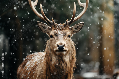 Portrait of a reindeer on natural background. AI generated content.  © Andrii