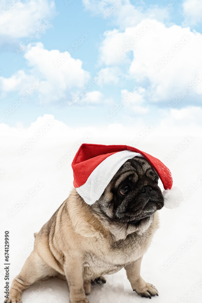 Dog. Pug. Holidays and events. A greeting card. Christmas