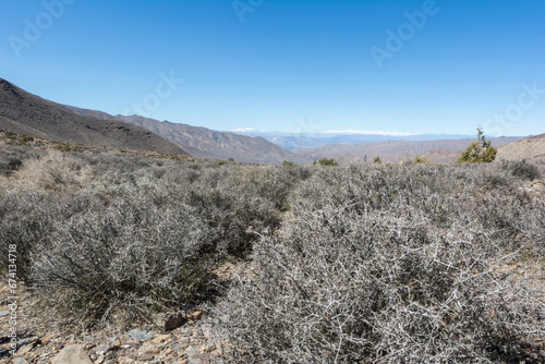 desert landscape in death valley