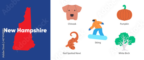 New Hampshire states with symbol icon of chinook pumpkin skiing red-spotted newt white birch illustration