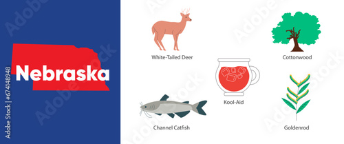 Nebraska states with symbol icon of channel catfish goldenrod flower cottonwood white-tailed deer illustration