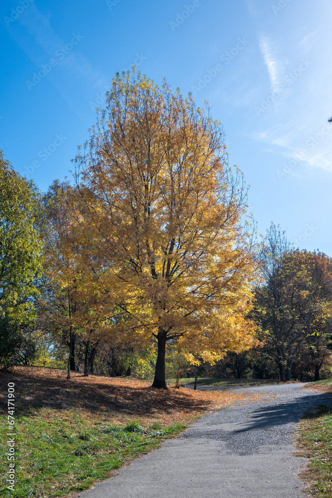 Autumn view of South Park in city of Sofia, Bulgaria