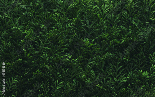 Fototapeta Naklejka Na Ścianę i Meble -  Foliage background with fresh green plant leaves. Plant wall for environmentally friendly or Earth day background.