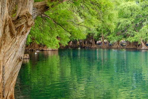 The park of Camecuaro in Tangancicuaro, Mexico