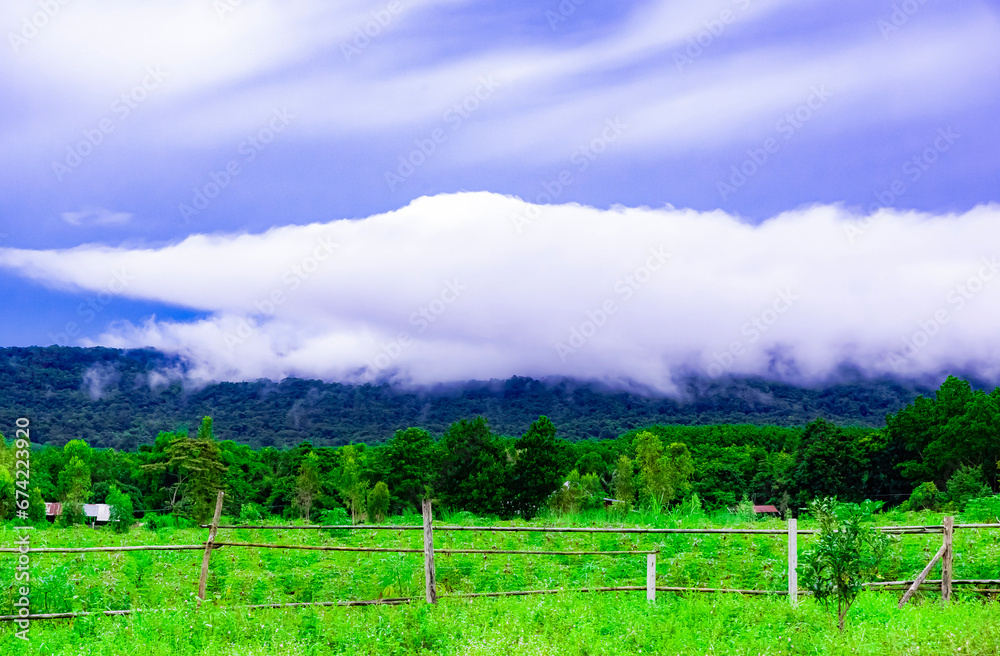 The scenery has a natural atmosphere with fresh green trees. The atmosphere after the rain has white clouds floating in it. There is a beautiful colorful sky. It is a very pleasant atmosphere to visit The scenery has a natural atmosphere with fresh green trees. The atmosphere after the rain has white clouds floating in it. There is a beautiful colorful sky. It is a very pleasant atmosphere to visit