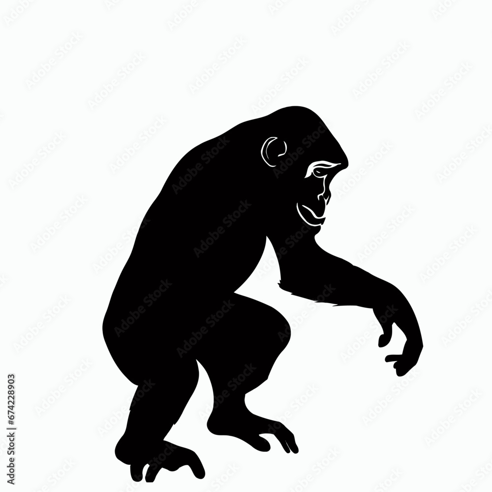 Vector Silhouette of Chimpanzee, Intelligent Chimpanzee Graphic for Wildlife Concepts