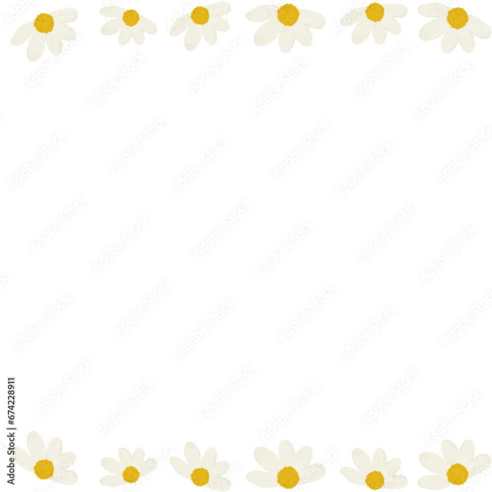 chamomile flower close-up. Daisy frame. chamomile flower close-up. Daisy frame.