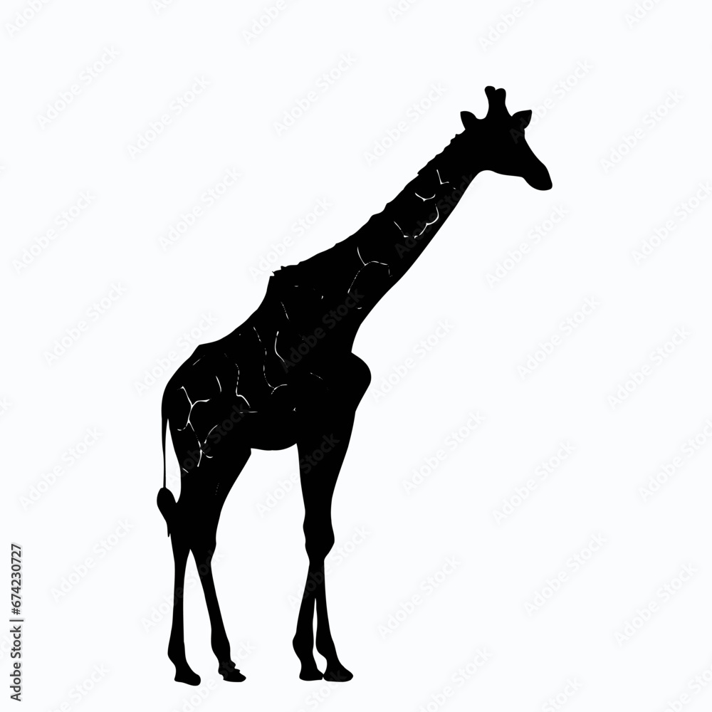 Vector Silhouette of Giraffe, Tall Giraffe Illustration for Animal and