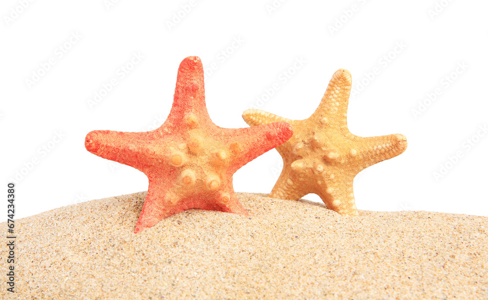 Beautiful sea stars (starfish) in sand isolated on white Beautiful sea stars (starfish) in sand isolated on white