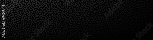 Abstract black monochrome reaction diffusion psychedelic pattern background. Organic line art biological wallpaper. Turing generative algorithm design. photo
