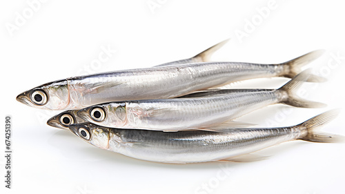 anchovy isolated on the background, fresh fish