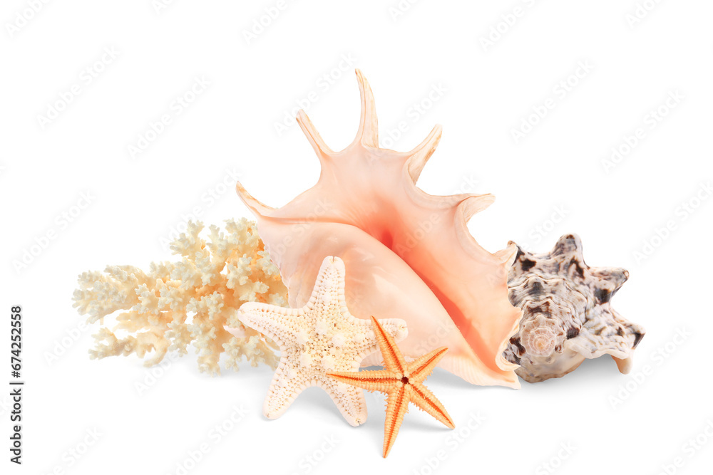 Sea stars, shells and coral isolated on white Sea stars, shells and coral isolated on white