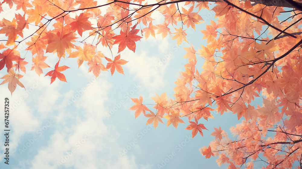 autumn leaf fall, falling leaves on the background of a light blue autumn sky, yellow and red leaves flying from the sky, view up