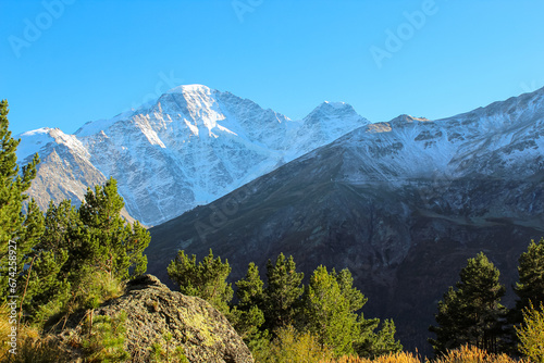 The view from the path through the mountain forest in Elbrus Region